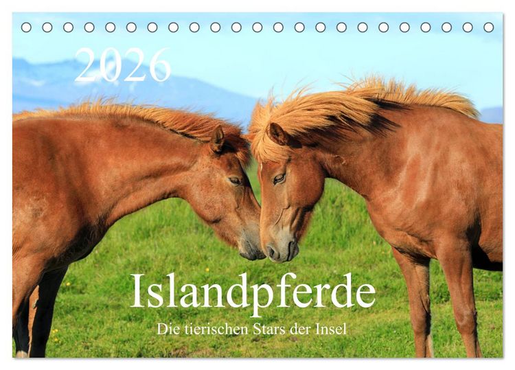 Produktbild: Islandpferde - Die tierischen Stars der Insel (Tischkalender 2026 DIN A5 quer), CALVENDO Monatskalender
