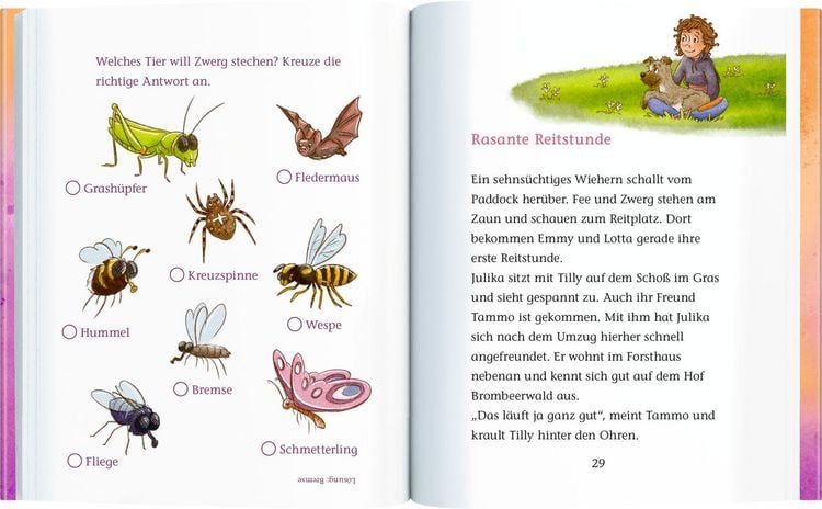 Produktbild: Ponyhof Brombeerwald (Erstlesebuch, Bd. 2)