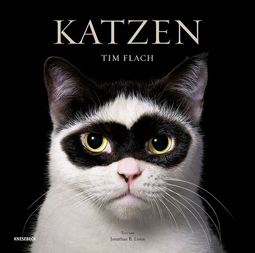 Produktbild: Katzen