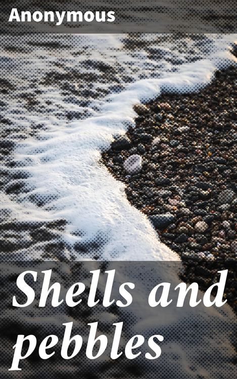 Produktbild: Shells and pebbles