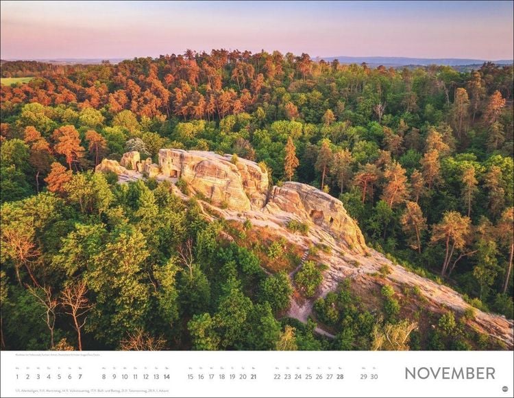 Produktbild: Sch&ouml;nheit des Waldes Posterkalender 2027