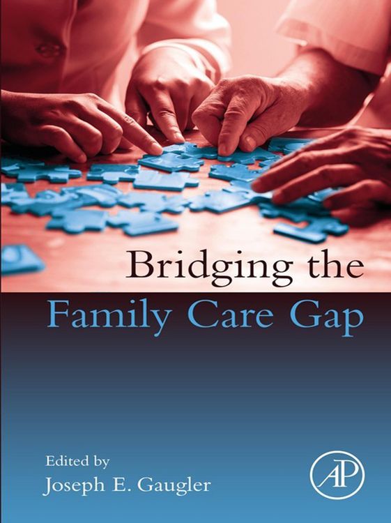 Produktbild: Bridging the Family Care Gap