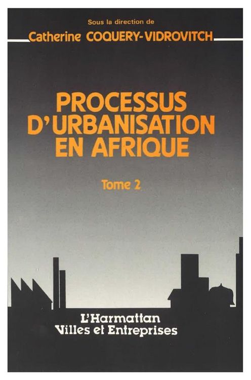 Produktbild: Processus d'urbanisation en Afrique