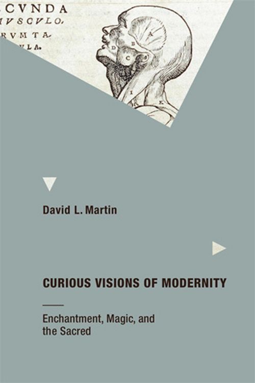 Produktbild: Curious Visions of Modernity