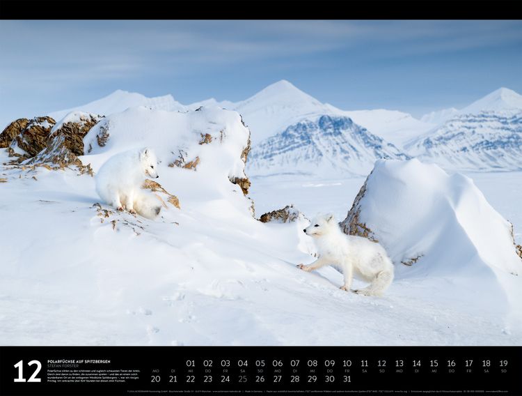 Produktbild: Nordische Welten Signature Kalender 2027