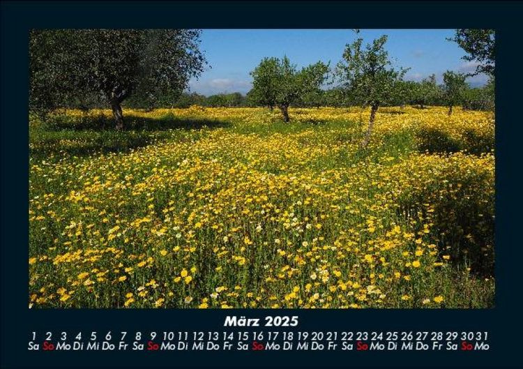 Produktbild: Blumenkalender 2025 Fotokalender DIN A5