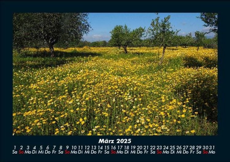 Produktbild: Blumenkalender 2025 Fotokalender DIN A5