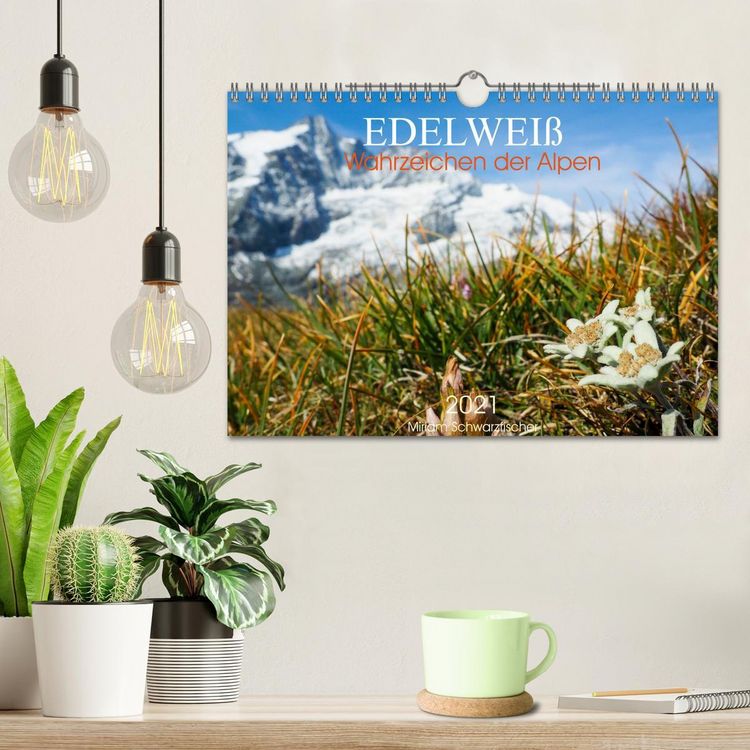 Produktbild: Edelwei&szlig; - Wahrzeichen der Alpen (Wandkalender 2026 DIN A4 quer), CALVENDO Monatskalender