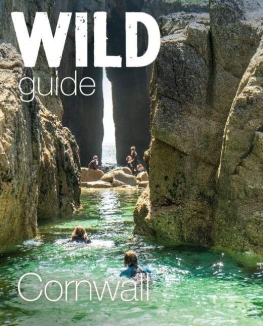 Produktbild: Wild Guide Cornwall