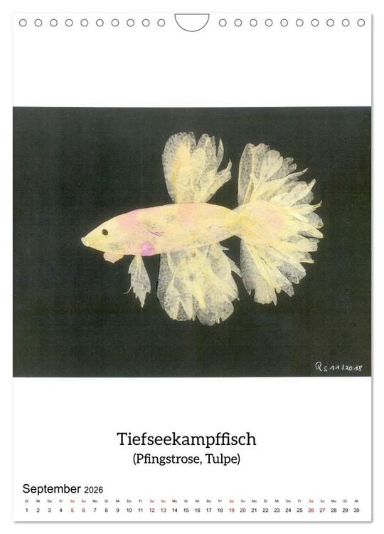 Produktbild: Nat&uuml;rlich Natur - Gepresste Bl&uuml;ten erwachen zum Leben (Wandkalender 2026 DIN A4 hoch), CALVENDO Monatskalender
