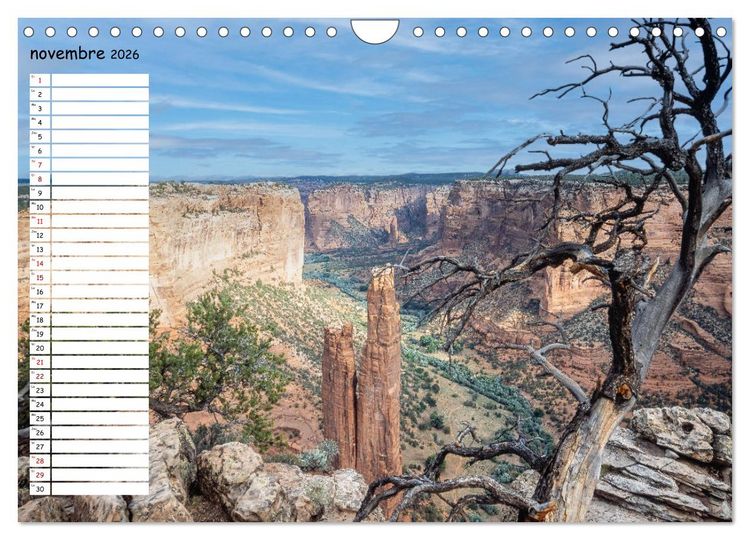 Produktbild: Arizona, une rencontre avec la nature (Calendrier mural 2026 DIN A4 vertical), CALVENDO calendrier mensuel