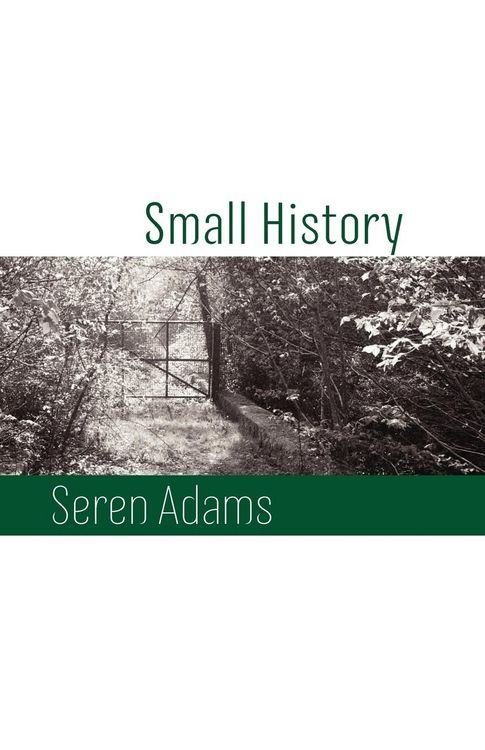 Produktbild: Small History