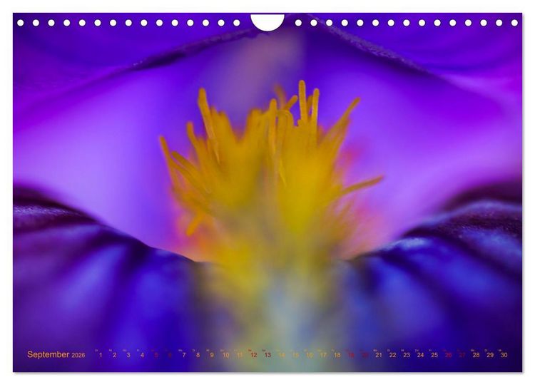 Produktbild: DEEP INSIDE - Bl&uuml;tenmakros (Wandkalender 2026 DIN A4 quer), CALVENDO Monatskalender