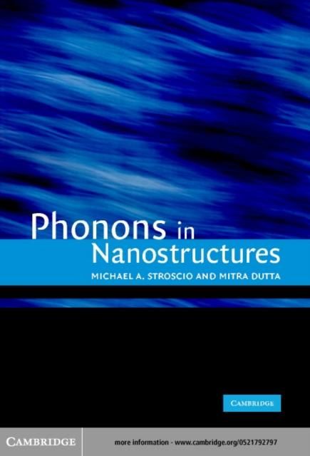 Produktbild: Phonons in Nanostructures