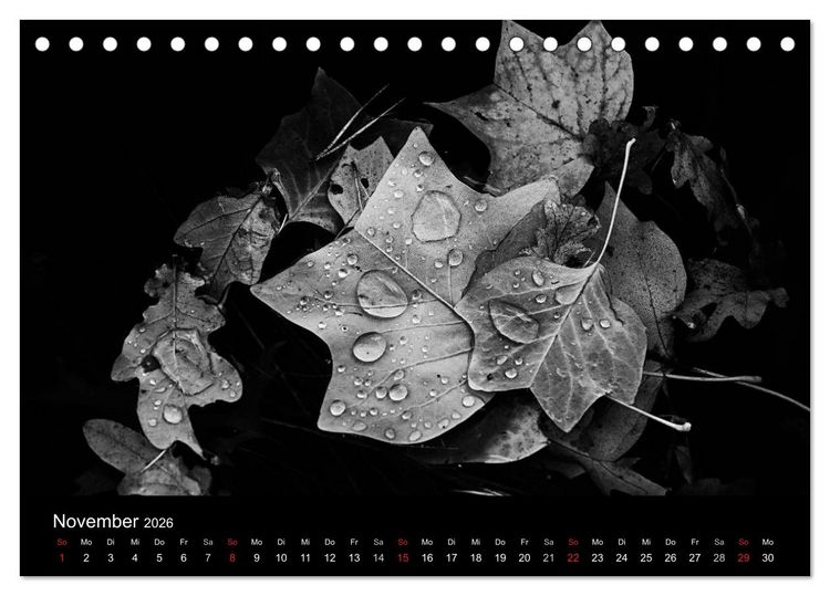 Produktbild: Das Licht in Schwarz und Wei&szlig; (Tischkalender 2026 DIN A5 quer), CALVENDO Monatskalender