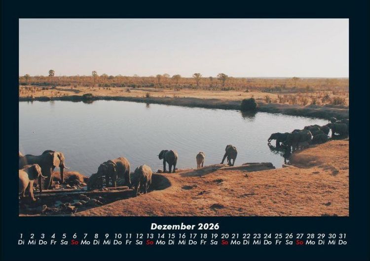 Produktbild: Tage am See 2026 Fotokalender DIN A4