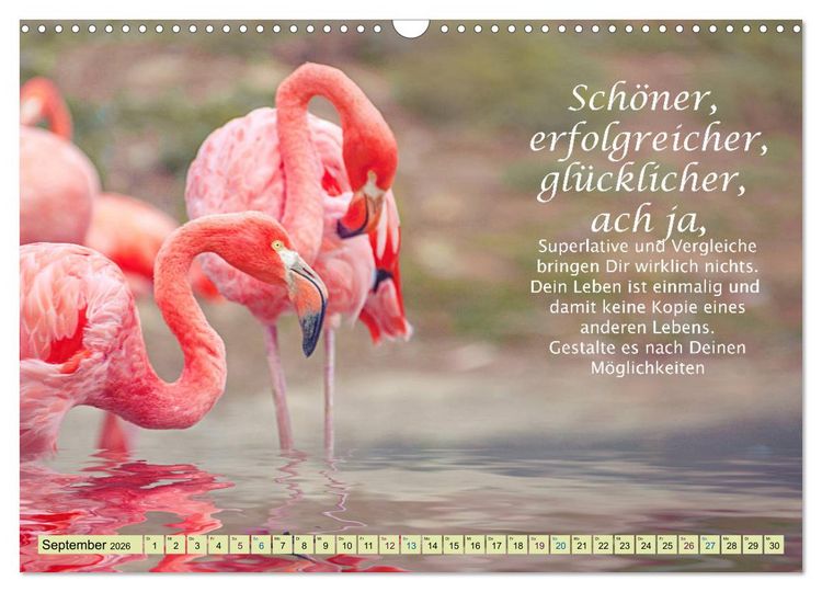 Produktbild: Spruchkalender - schau rein (Wandkalender 2026 DIN A3 quer), CALVENDO Monatskalender