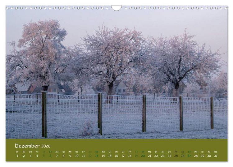 Produktbild: Steink&auml;uze (Athene noctua) (Wandkalender 2026 DIN A3 quer), CALVENDO Monatskalender