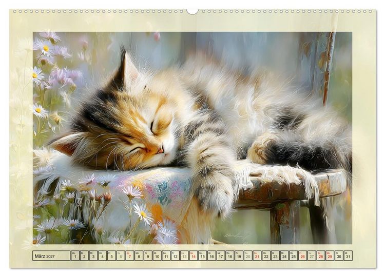 Produktbild: Katzenbabys. Flauschige Gl&uuml;cksmomente (hochwertiger Premium Wandkalender 2027 DIN A2 quer), Kunstdruck in Hochglanz