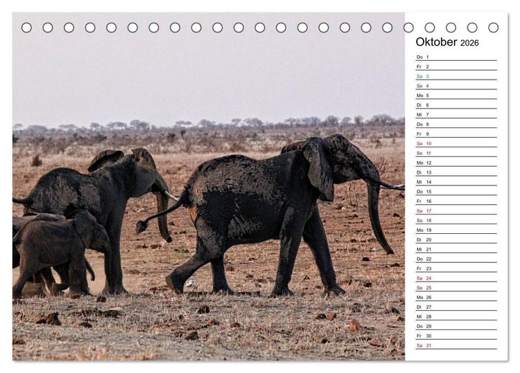 Produktbild: Elefanten . Wildlife in Kenia (Tischkalender 2026 DIN A5 quer), CALVENDO Monatskalender