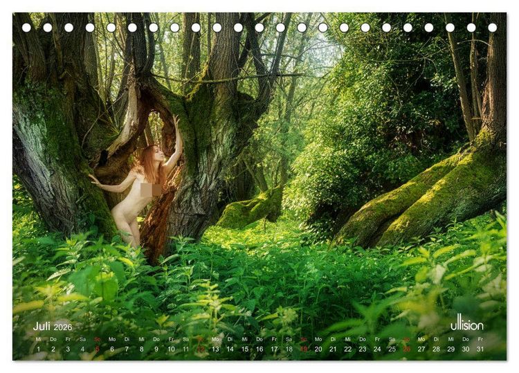 Produktbild: ZAUBERWALD Mystik der Natur (Tischkalender 2026 DIN A5 quer), CALVENDO Monatskalender