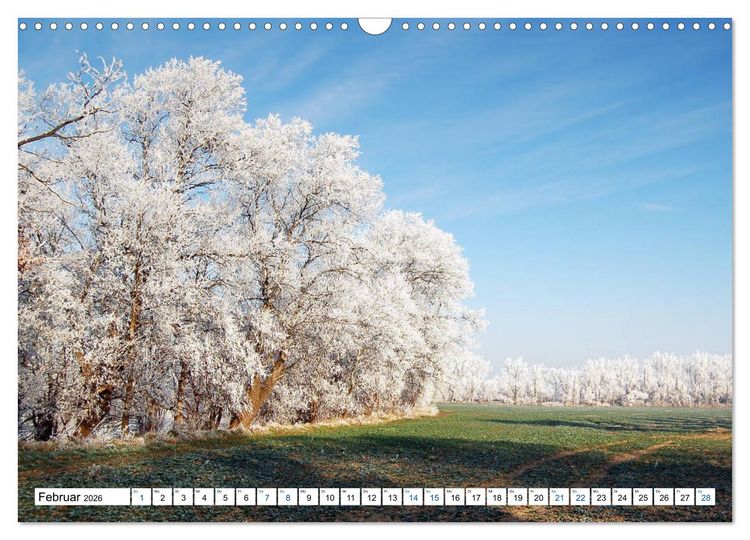 Produktbild: Land Brandenburg - Natur und Erholung im m&auml;rkischen Land (Wandkalender 2026 DIN A3 quer), CALVENDO Monatskalender