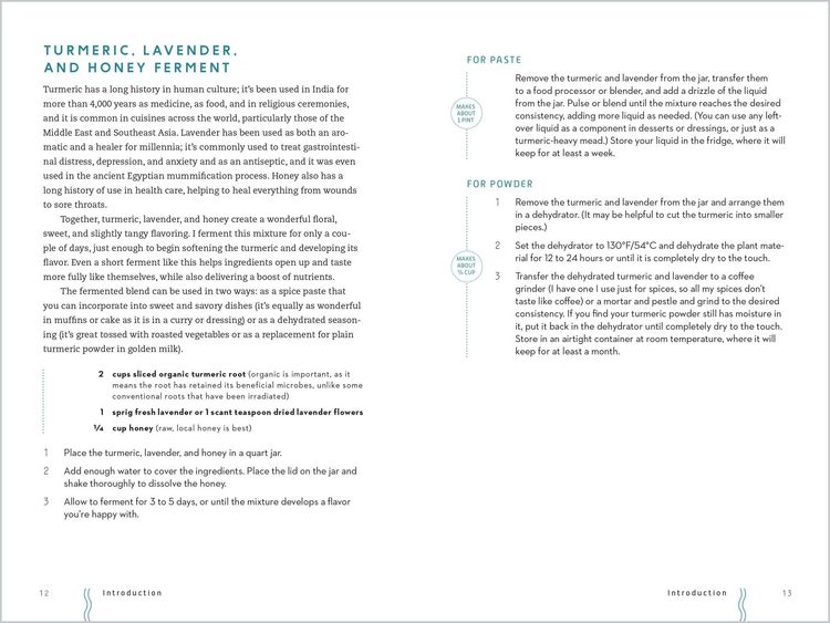 Produktbild: Our Fermented Lives