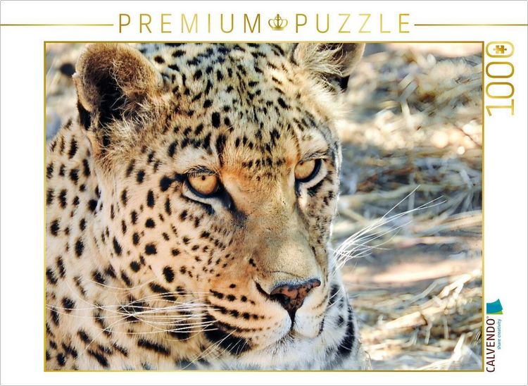 Produktbild: CALVENDO Puzzle Leopard in der Kalahari | 1000 Teile Lege-Gr&ouml;&szlig;e 64x48cm Foto-Puzzle f&uuml;r gl&uuml;ckliche Stunden