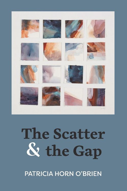 Produktbild: The Scatter and the Gap
