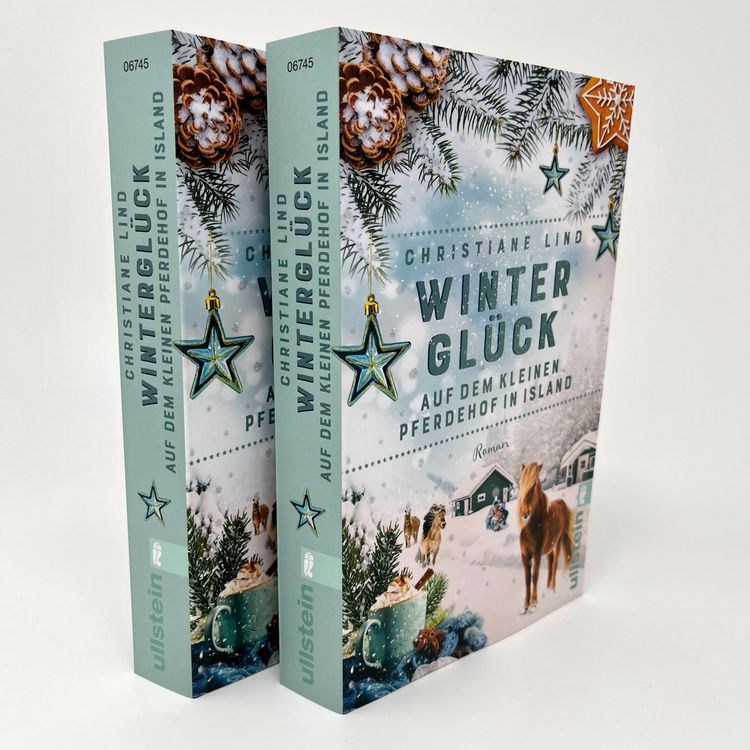 Produktbild: Wintergl&uuml;ck auf dem kleinen Pferdehof in Island