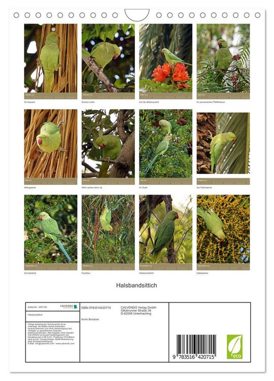 Produktbild: Halsbandsittich (Wandkalender 2026 DIN A4 hoch), CALVENDO Monatskalender