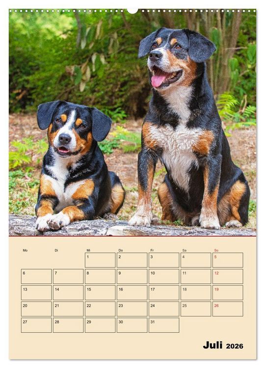 Produktbild: Jahresplaner Entlebucher Sennenhund (Wandkalender 2026 DIN A2 hoch), CALVENDO Monatskalender