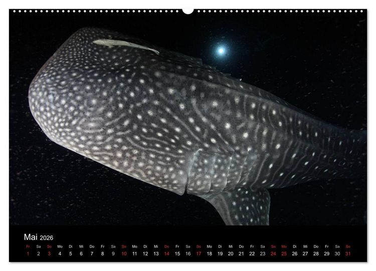 Produktbild: Magische Unterwasserwelten (Wandkalender 2026 DIN A2 quer), CALVENDO Monatskalender