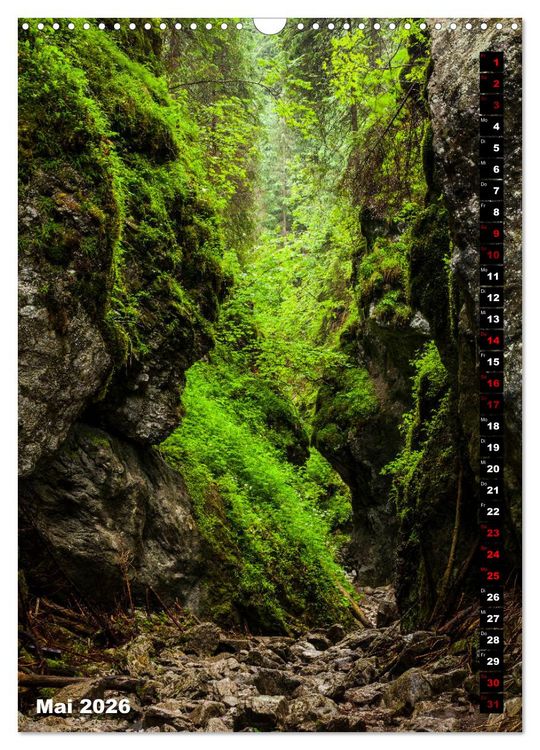 Produktbild: Impressionen aus der Tatra (Wandkalender 2026 DIN A3 hoch), CALVENDO Monatskalender