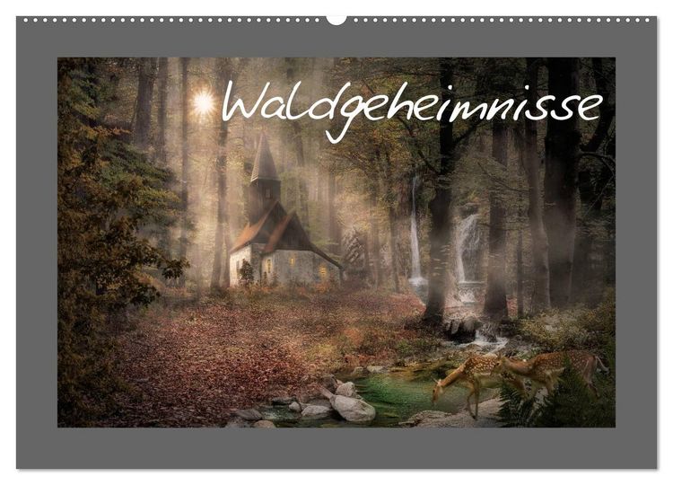 Produktbild: Waldgeheimnisse (Wandkalender 2026 DIN A2 quer), CALVENDO Monatskalender