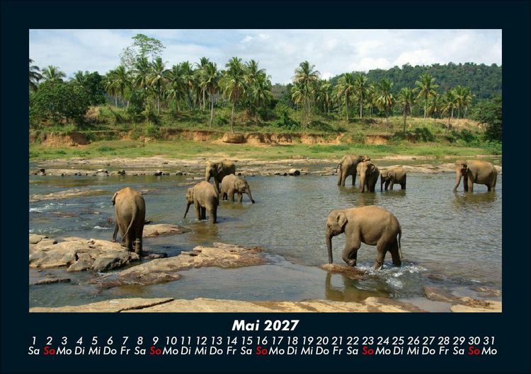Produktbild: Tierkalender 2027 Fotokalender DIN A5