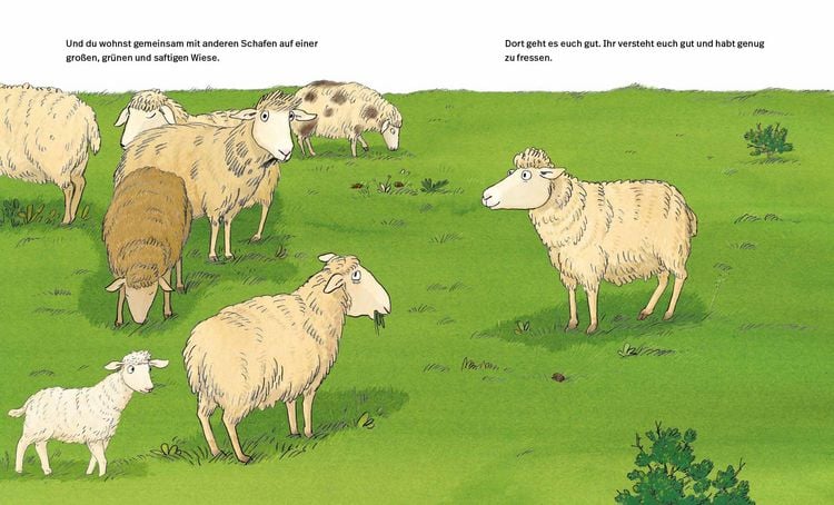 Produktbild: Eine Wiese f&uuml;r alle