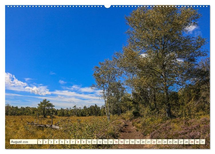 Produktbild: Moor und Riedlandschaften im S&uuml;dwesten (Wandkalender 2026 DIN A2 quer), CALVENDO Monatskalender