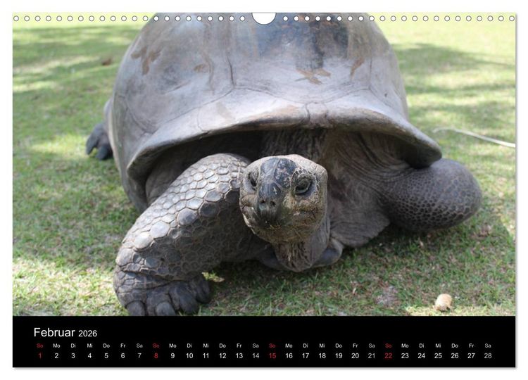 Produktbild: Seychellen (Wandkalender 2026 DIN A3 quer), CALVENDO Monatskalender