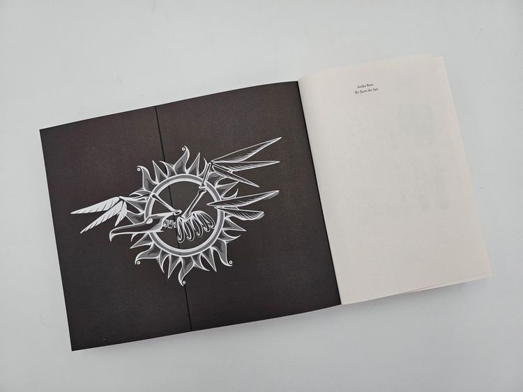 Produktbild: We Burn the Sun