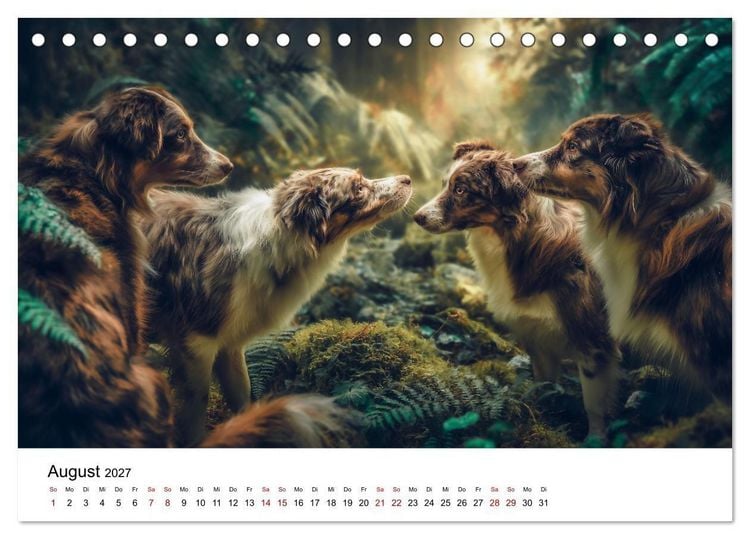 Produktbild: Born to run - Ein Jahr mit Australian Shepherds (Tischkalender 2027 DIN A5 quer), CALVENDO Monatskalender