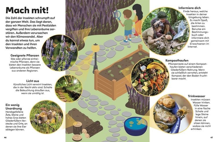 Produktbild: memo Wissen Kids. Insekten