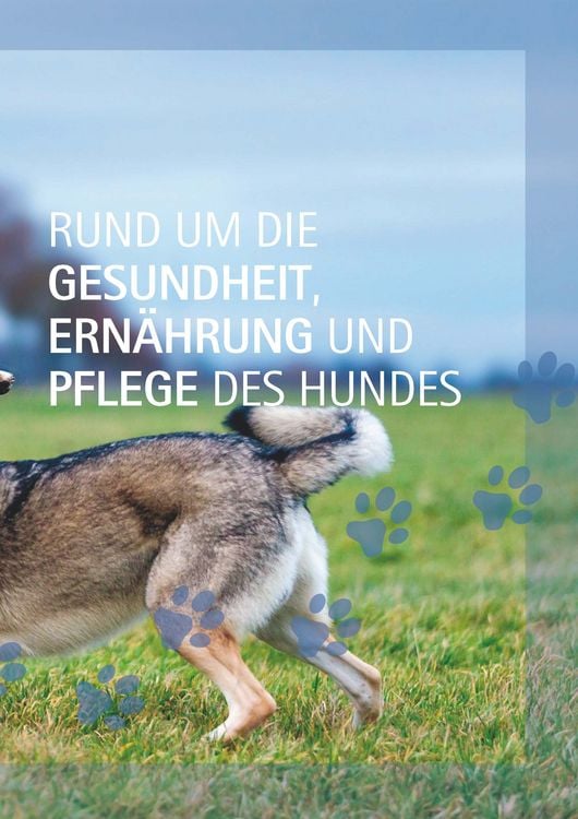 Produktbild: Ein Hund und 1000 Fragen