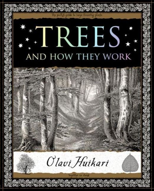 Produktbild: Trees