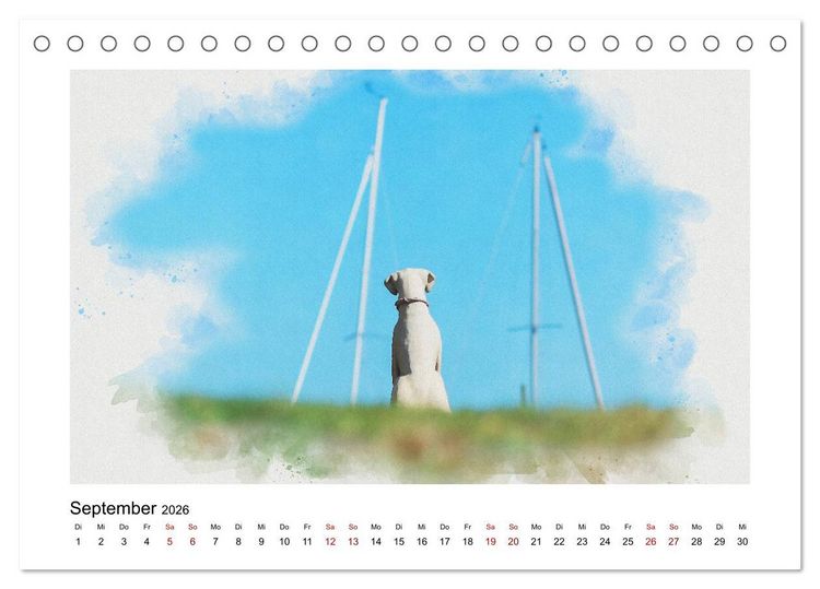 Produktbild: Ostsee Aquarelle (Tischkalender 2026 DIN A5 quer), CALVENDO Monatskalender