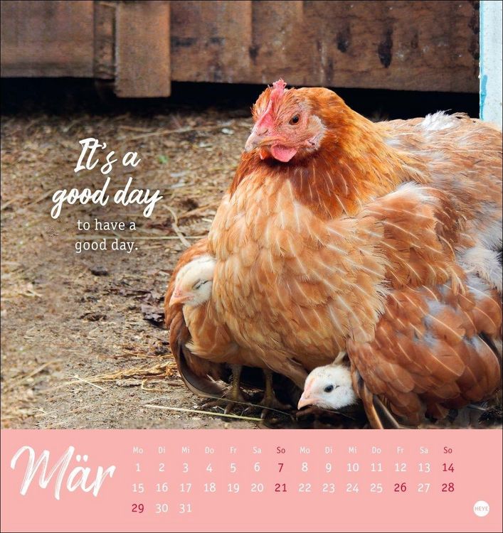 Produktbild: H&uuml;hner Postkartenkalender 2027 - Ach, du verr&uuml;cktes Huhn!