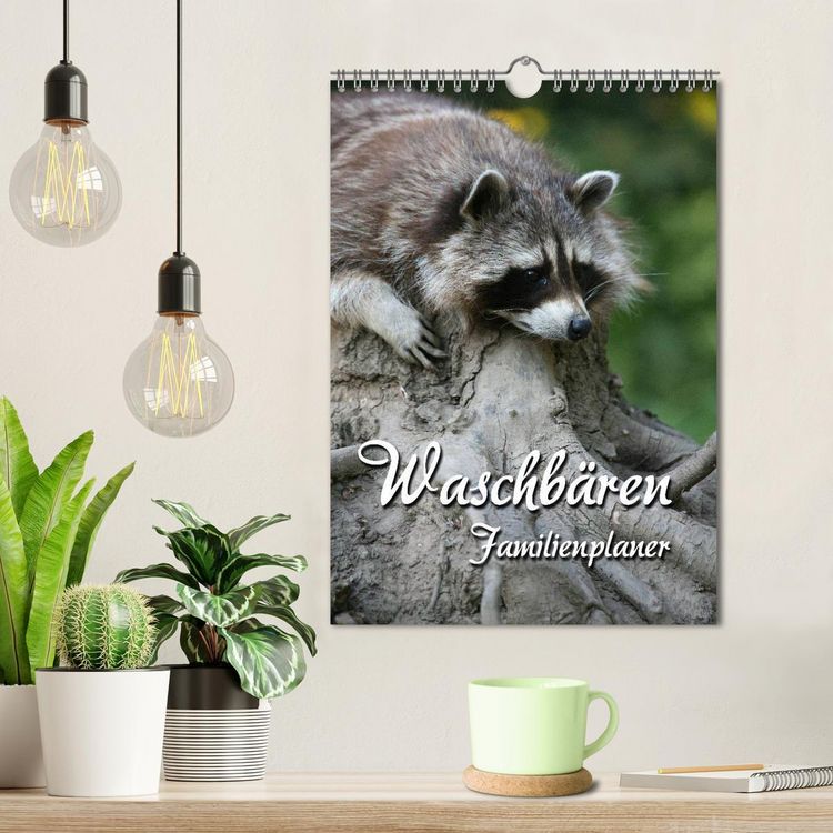 Produktbild: Waschb&auml;ren Familienplaner (Wandkalender 2026 DIN A4 hoch), CALVENDO Monatskalender