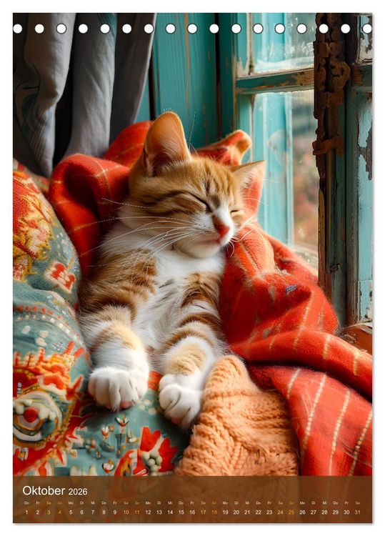 Produktbild: Kuschelkatzen - Fellnasen im Schlummerland (Tischkalender 2026 DIN A5 hoch), CALVENDO Monatskalender