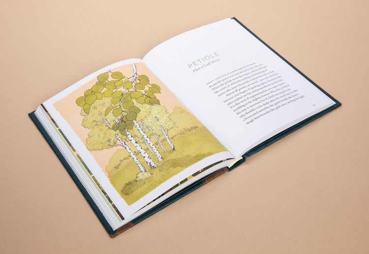 Produktbild: A Forest Language