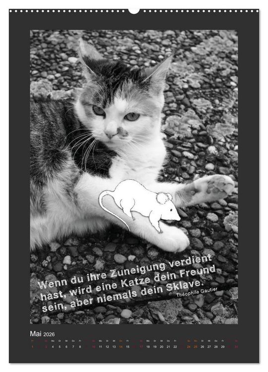 Produktbild: Katz & Maus (Wandkalender 2026 DIN A2 hoch), CALVENDO Monatskalender